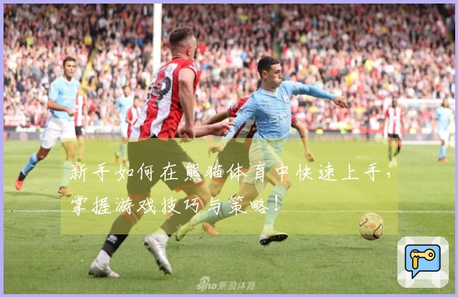 新手如何在熊猫体育中快速上手，掌握游戏技巧与策略！