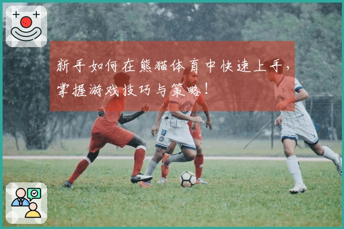 新手如何在熊猫体育中快速上手，掌握游戏技巧与策略！